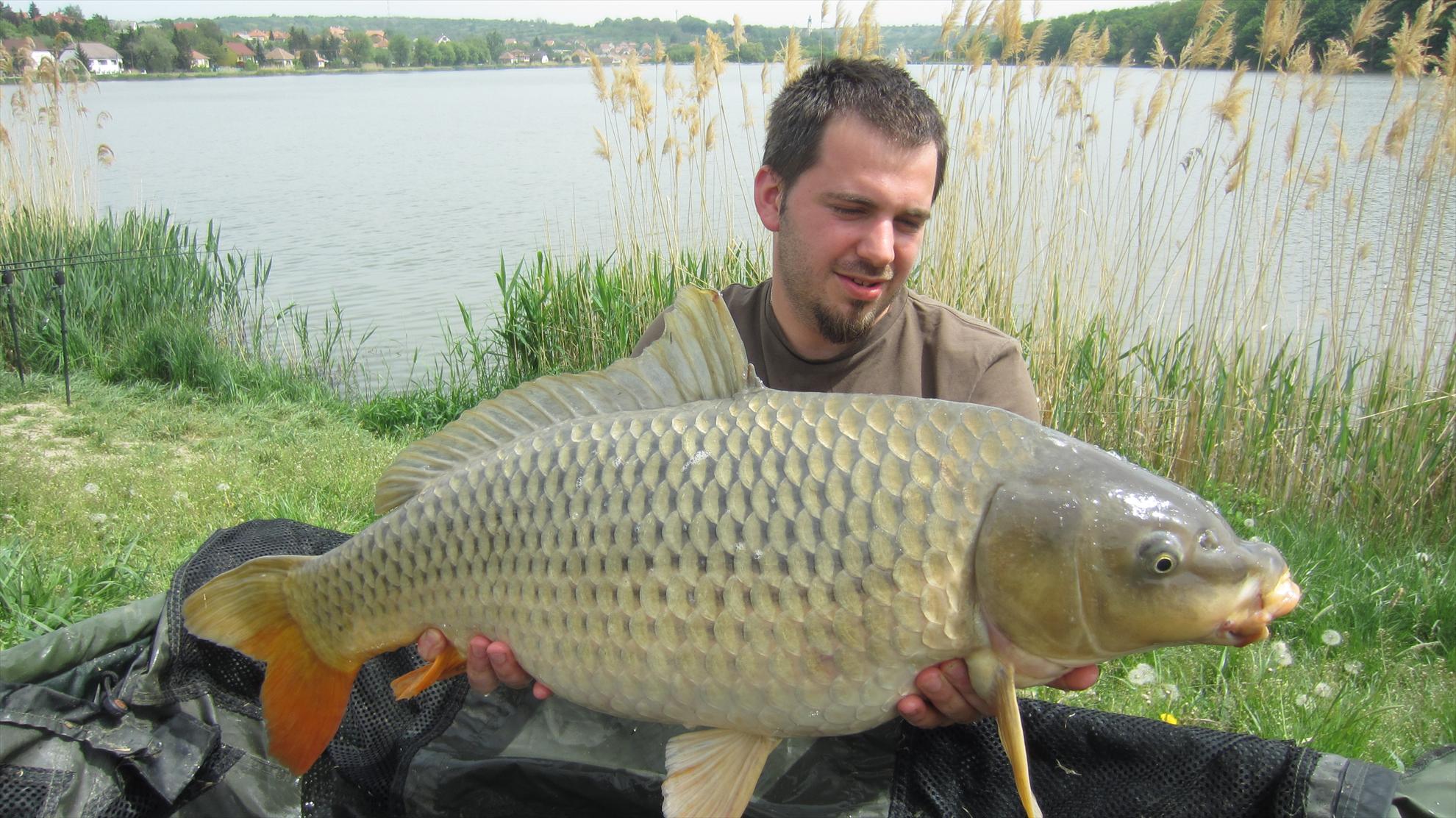 Harsany 1 - 5 mai. - img2553.JPG